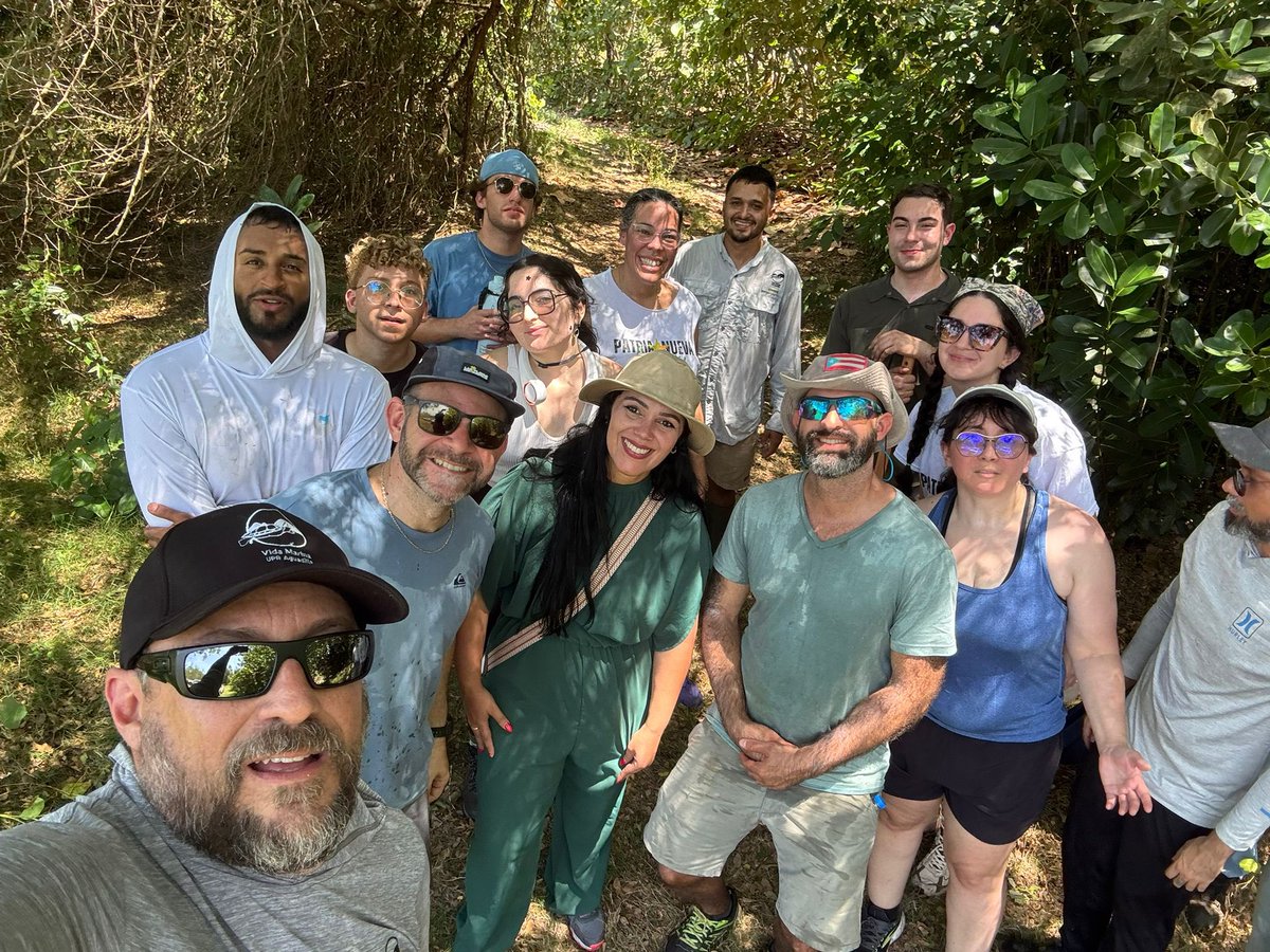 AGONZALEZCOSTA's tweet photo. 85 plantas de mangle rojo sembradas en la Reserva Natural Finca Nolla en Camuy. 🌱🌱🌱🌱🌱🌱🌱🌱🌱🌱
Junto a la militancia de Camuy en colaboración con el proyecto Vida Marina UPR. https://t.co/suVMJr9OxE