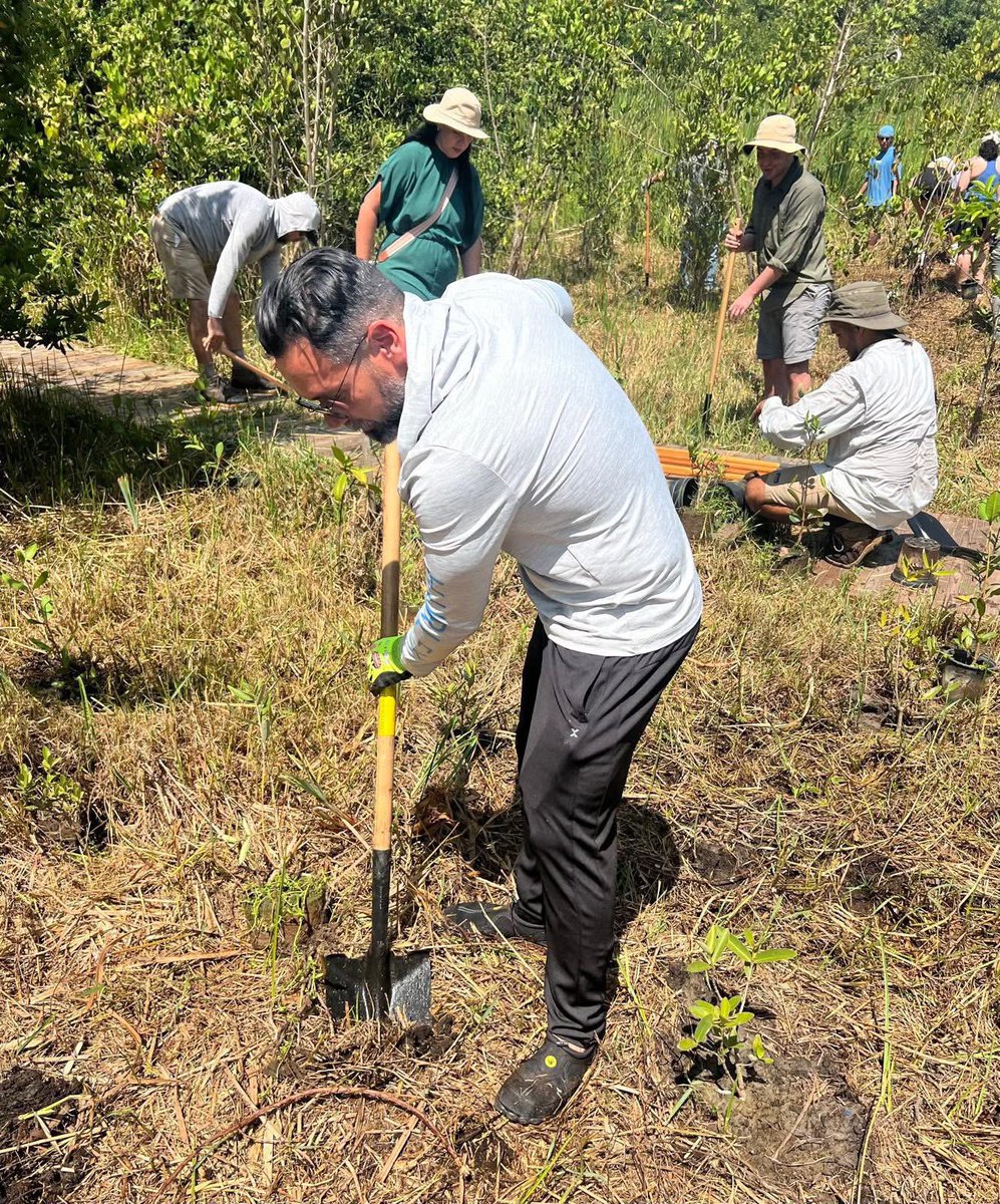 AGONZALEZCOSTA's tweet photo. 85 plantas de mangle rojo sembradas en la Reserva Natural Finca Nolla en Camuy. 🌱🌱🌱🌱🌱🌱🌱🌱🌱🌱
Junto a la militancia de Camuy en colaboración con el proyecto Vida Marina UPR. https://t.co/suVMJr9OxE