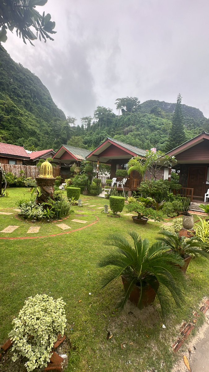 THE BEAUTY OF NATURE 🌊🌳