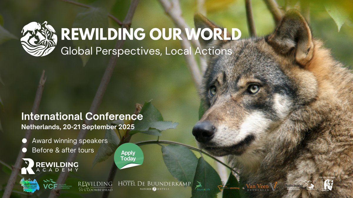 Rewilding is key to biodiversity conservation and climate change mitigation!
Join some of the boldest and most inspiring #rewilders of our time at the Rewilding Our World Conference 2025:
🌍 rewilding.academy/rewilding-our-…