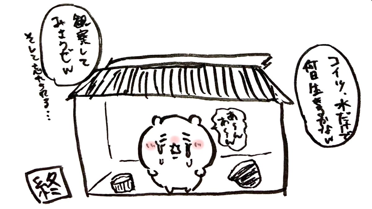 🧒コイツ、水だけで何日生きるかなw
👦観察してみようぜw

そして忘れられる…
(3/3 終)