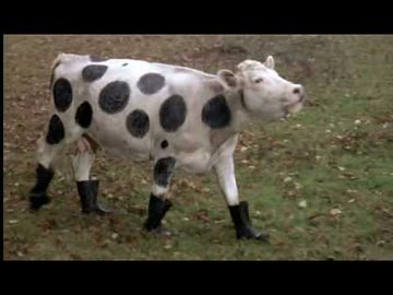 AcostaMzk's tweet image. El 8 de junio de 1984, 41 años atrás, se estrenaba una de las mejores sátiras TOP SECRET!. 🐄☎🪖🏰
#Rococo #Latrine #NickRivers #ChocolateMousse #TorreEiffel #HillaryFlammond #Nigel #CapitanVonHorst #GeneralStreck #AgentCedric