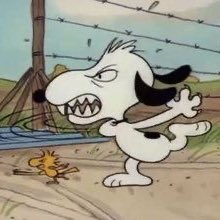 snoopyzito's tweet image. big fan of when he looks like that