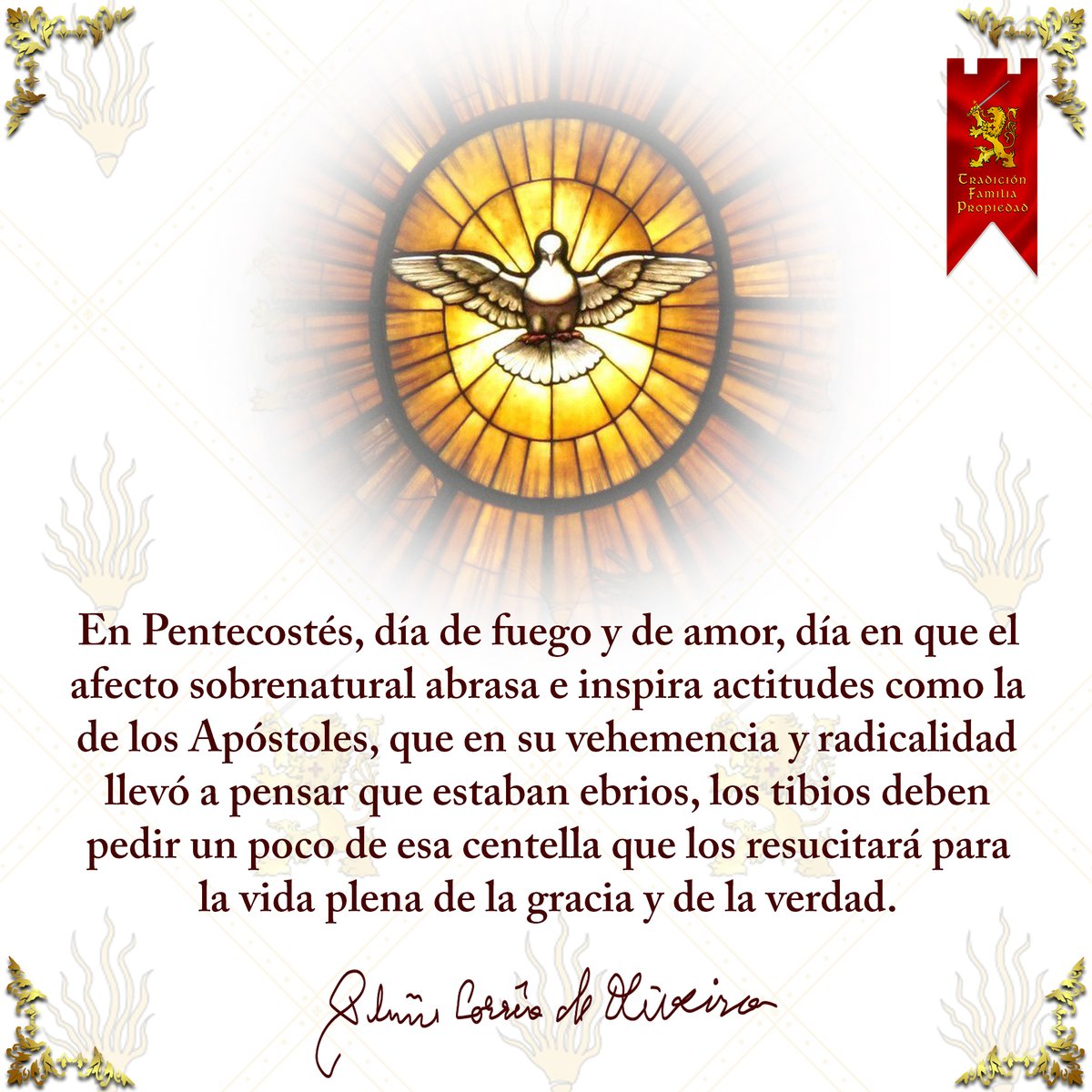 Pentecostés

#Pentecostés #FrasesDelDia #tfp
