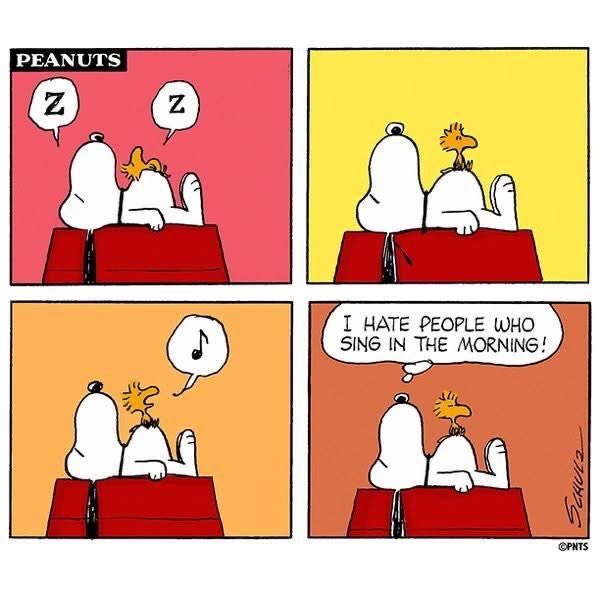 dennistmc (@dennistmc) on Twitter photo 