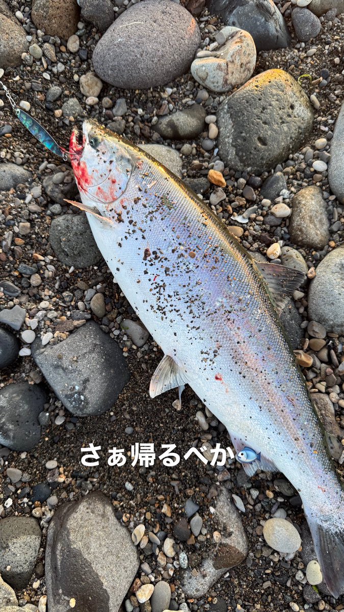 Tonneru4911's tweet photo. 今日は夕方5時から2時間勝負で57センチ🎣🐟🌸
まぁここでは良いサイズだった！
明日も仕事終わったら行くべ〜！！
#サクラマス#噴火湾 https://t.co/lDKaNHRgUl
