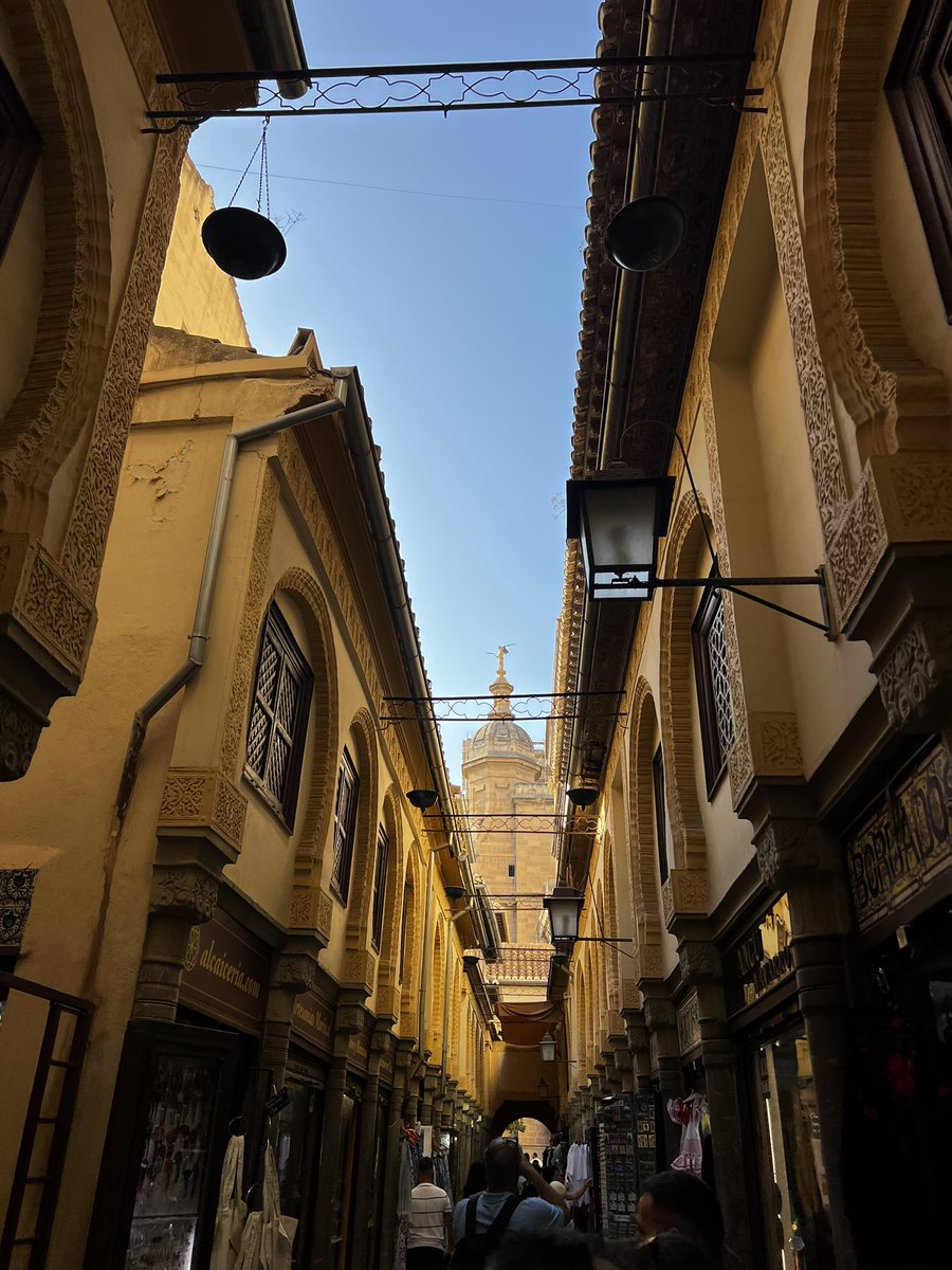 📸 Foto de domingo.

📍 ALCAICERÍA, Granada, España 🇪🇸 

📆 2024