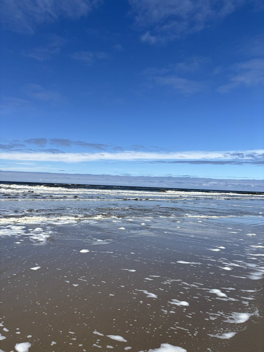 BriHasselmann's tweet image. Wir sollten uns alle bewusst sein, wie bedeutend der Schutz der Meere und Ozeane für uns alle ist. Denn Vermüllung, Überhitzung und Überfischung gefährdet unsere Meere und Lebensgrundlagen. Erhalten, was uns erhält.
#Meeresschutz #WorldOceansDay