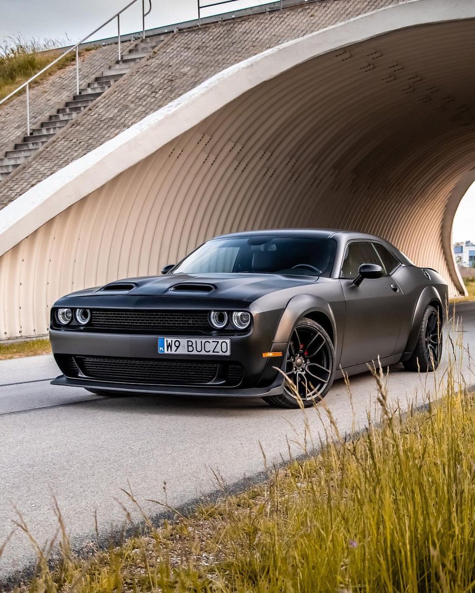 Mopar Chakmol🩵 (@moparchakmol) on Twitter photo 