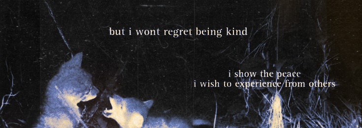 𝓝yawa. tweet media