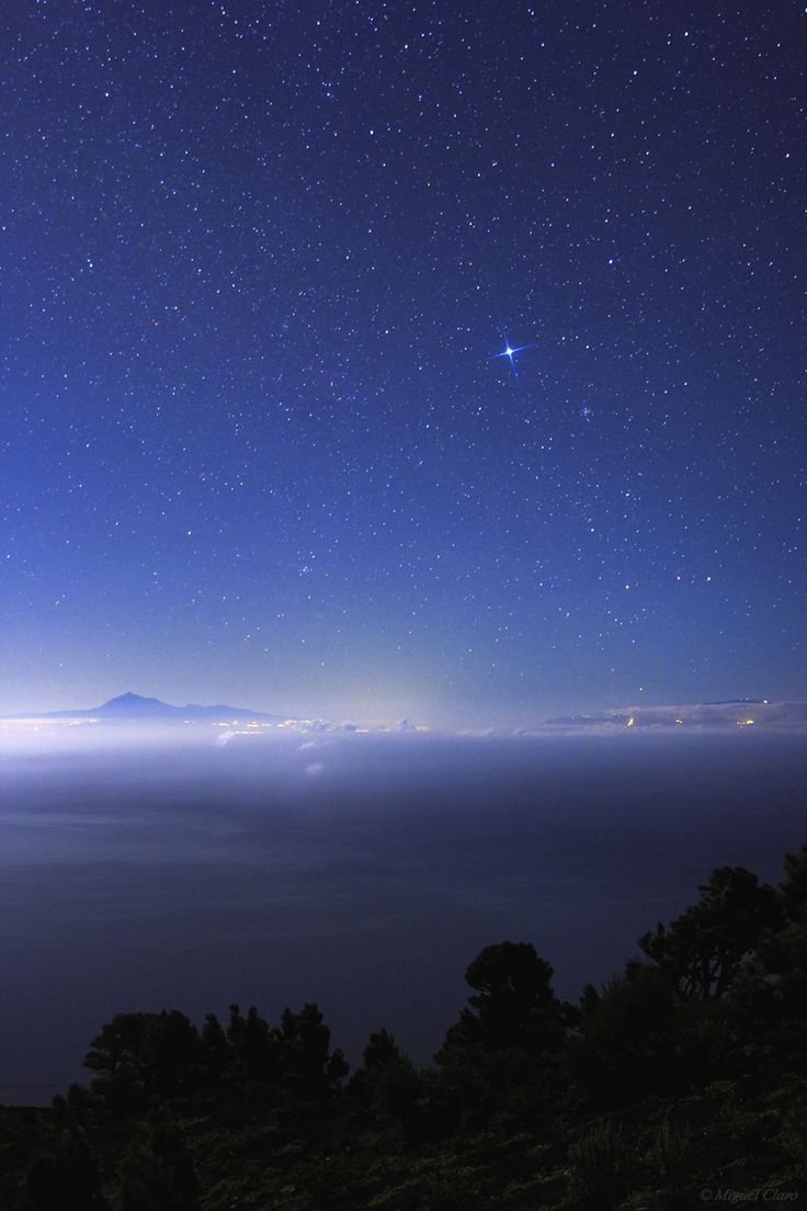 Sirius, the brightest star in Earth's night sky✨