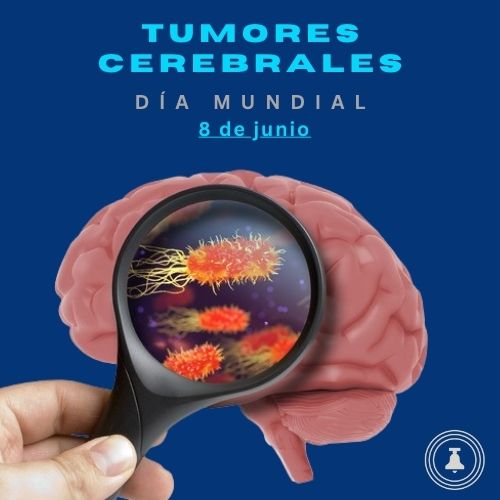 #DíaMundialDeLosTumoresCerebrales 
En Mx, los tumores cerebrales primarios representan casi el 2% de todos los casos de cáncer en adultos. En los niños, los tumores del sistema nervioso central son la tercera causa más común de #cáncer, después de las leucemias y linfomas.🧠