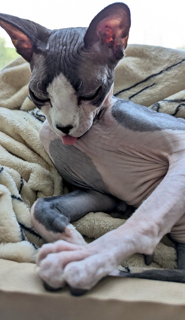 це шо, реально є люди, які прийшли на фанкон І НЕ ЗАДОНАТИЛИ НА АПТЕЧКИ???

send.monobank.ua/jar/9GGZwwSCtW

У нас вже зібрано на 30,5 гемостатиків,  давайте зробимо 50, там ще призів ціла купа 🥹