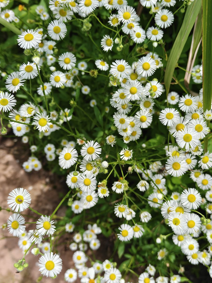 今天无意间发现有一个很久没用的钱包有1000u的sol
不知道有没有人懂这种感觉
虽然钱不多
就像是小时候过冬的时候发现一件很久没穿的衣服里面有50块钱的那种兴奋感

和你们分享一下喜悦
抽3个人瓜分100u
关注随意评论