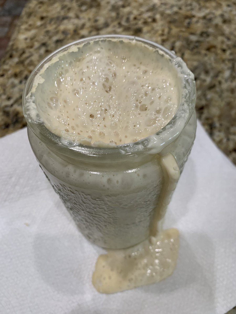 Now THAT is a happy sourdough starter ready and waiting to be used for a beautiful loaf of delicious bread!

Heck she’s so happy I might make two!!