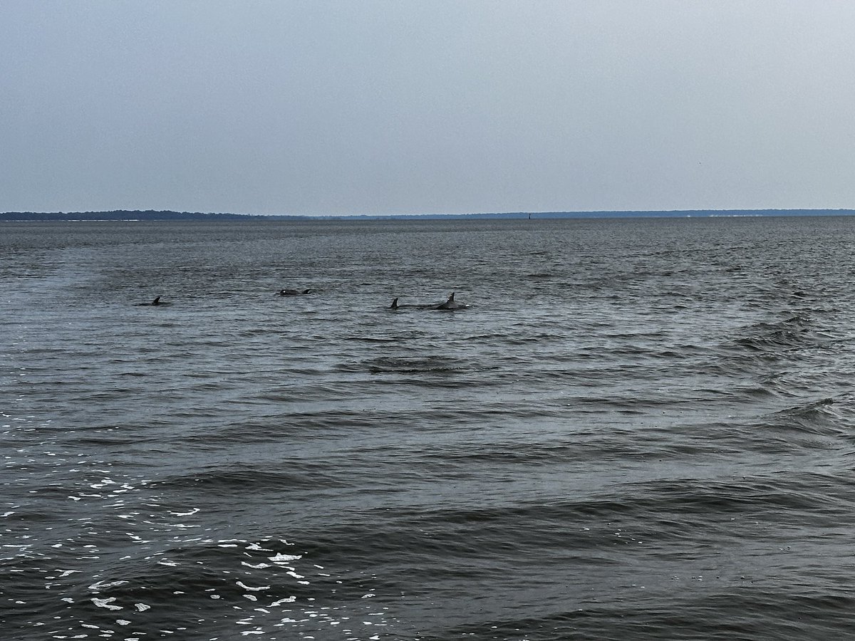 APS STEAM (@apssteam) on Twitter photo Dolphin tour with <a href="/Georgia_EEA/">Georgia EE Alliance</a> conference. Dolphin tour with <a href="/Georgia_EEA/">Georgia EE Alliance</a> conference.