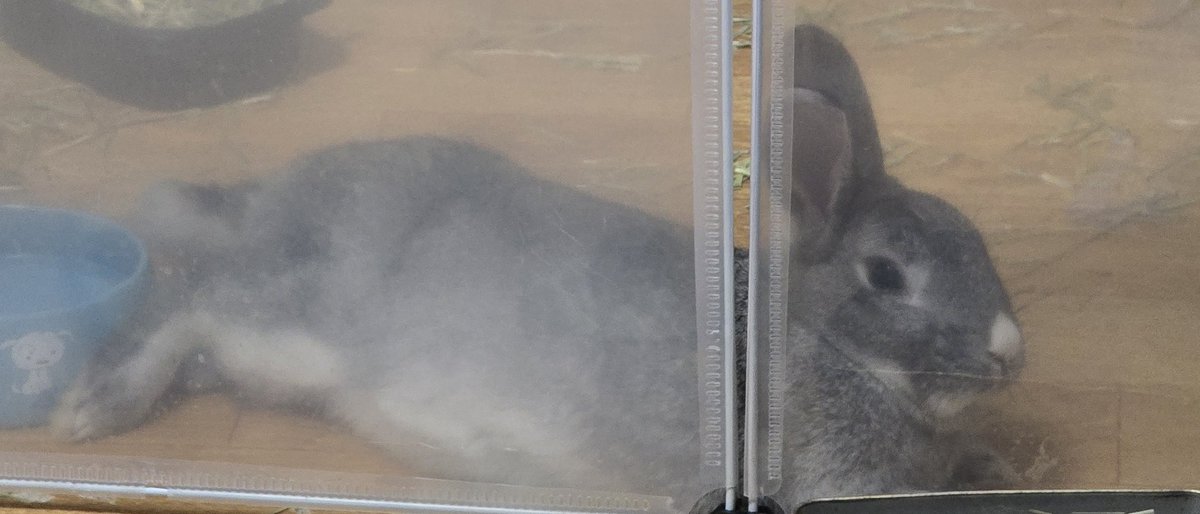 가까이가서 찍고 싶은데.. 쪼금만 움직여도 바로 쳐다보고 움직일까말까 일어날까말까 상태 on..