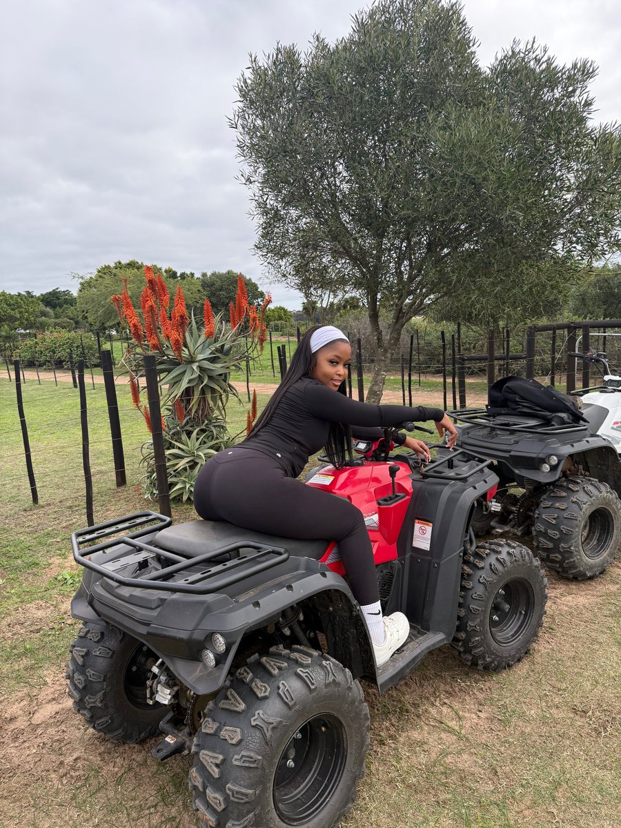 The_real_prechly tweet media