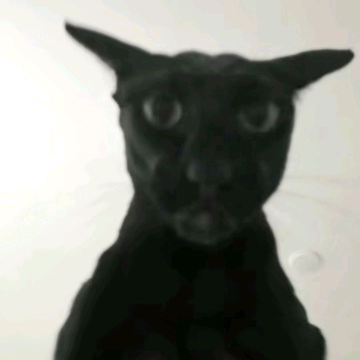 YTSTAR2010's tweet photo. me when my tells me to study 🔥🔥🔥🔥🔥🔥 https://t.co/7pQzbZJorP