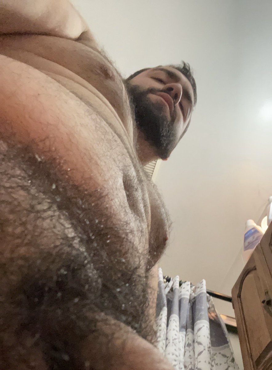 Bear Papi 🐻 tweet media