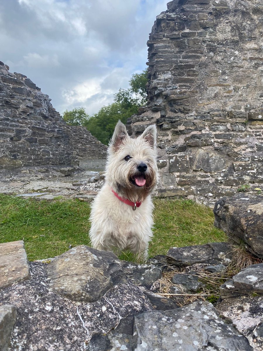 Mark Littlewood-Smart tweet media