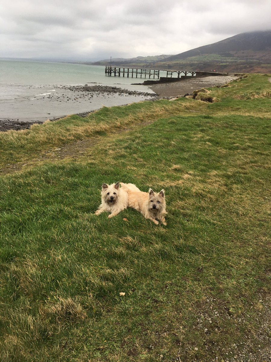 Mark Littlewood-Smart tweet media