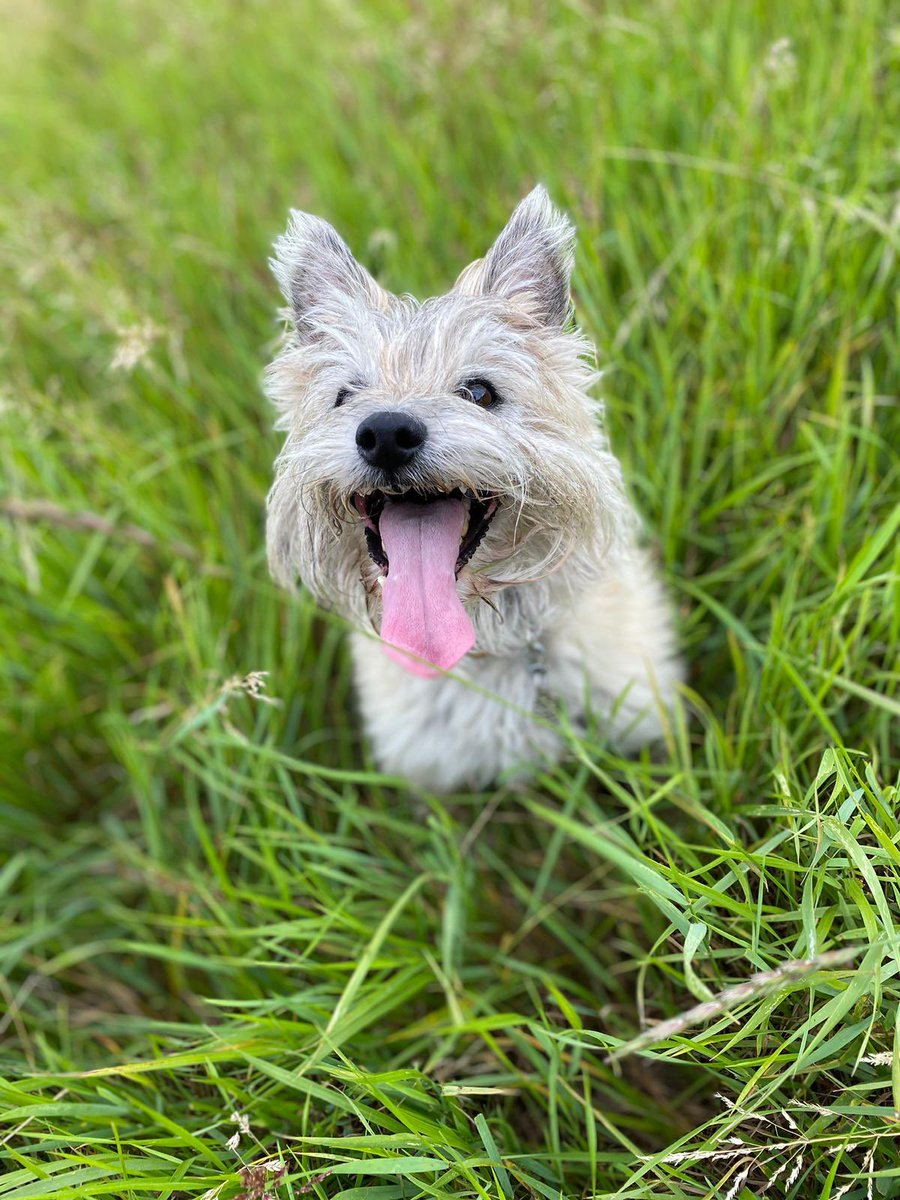 Mark Littlewood-Smart tweet media