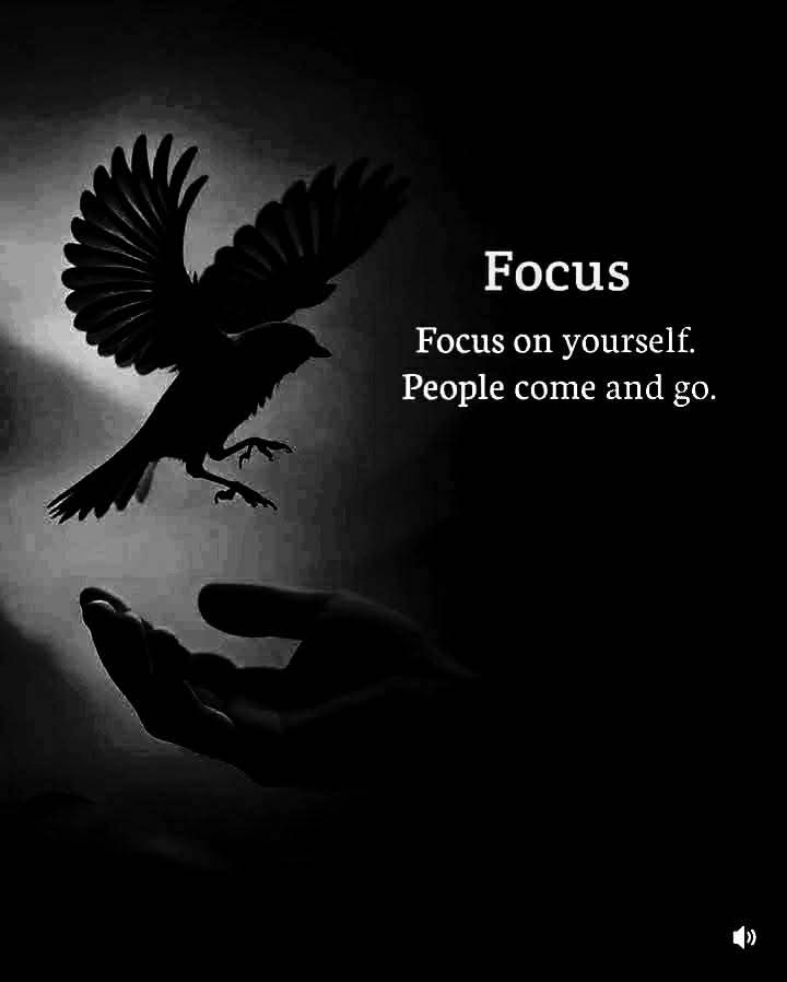 FreakyTheory's tweet image. Focus on yourself.