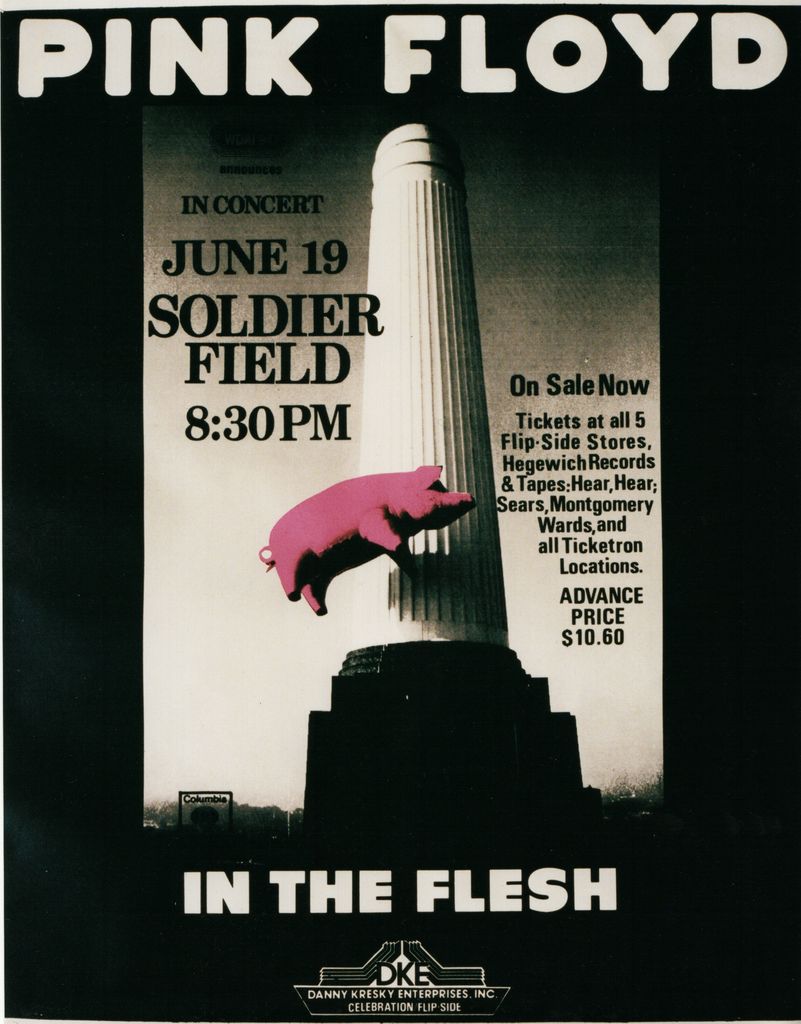 Who saw the band on their 1977 In The Flesh tour?