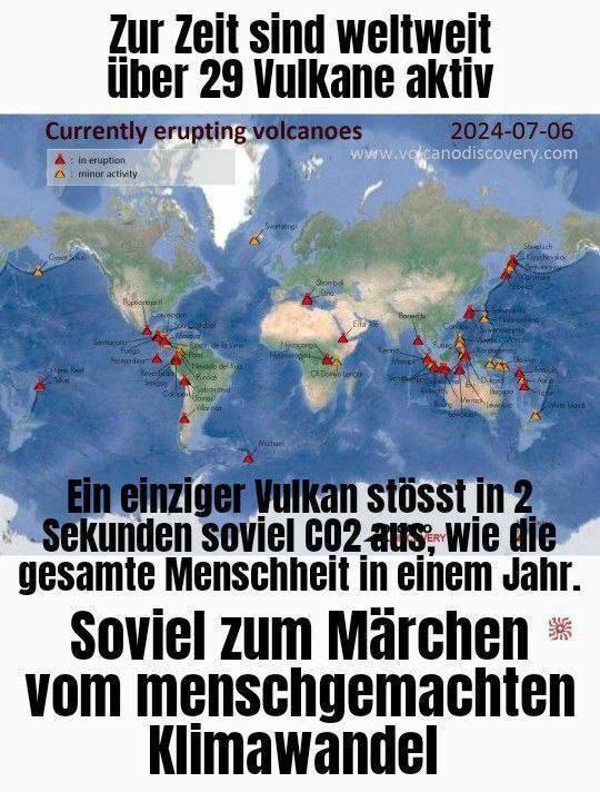 Lion Leonidas tweet media