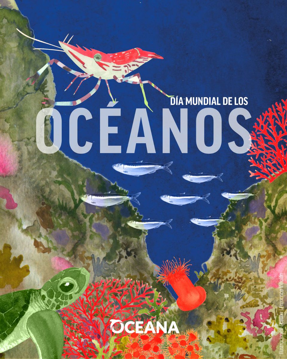 Oceana en Chile (@oceanachile) on Twitter photo ¡Hoy es el Día Mundial de los Océanos!
Cada 8 de junio se celebra este día para relevar la importancia del cuidado del mar y recordar que son claves para la vida en el planeta.
🧵 ¡Hoy es el Día Mundial de los Océanos!
Cada 8 de junio se celebra este día para relevar la importancia del cuidado del mar y recordar que son claves para la vida en el planeta.
🧵