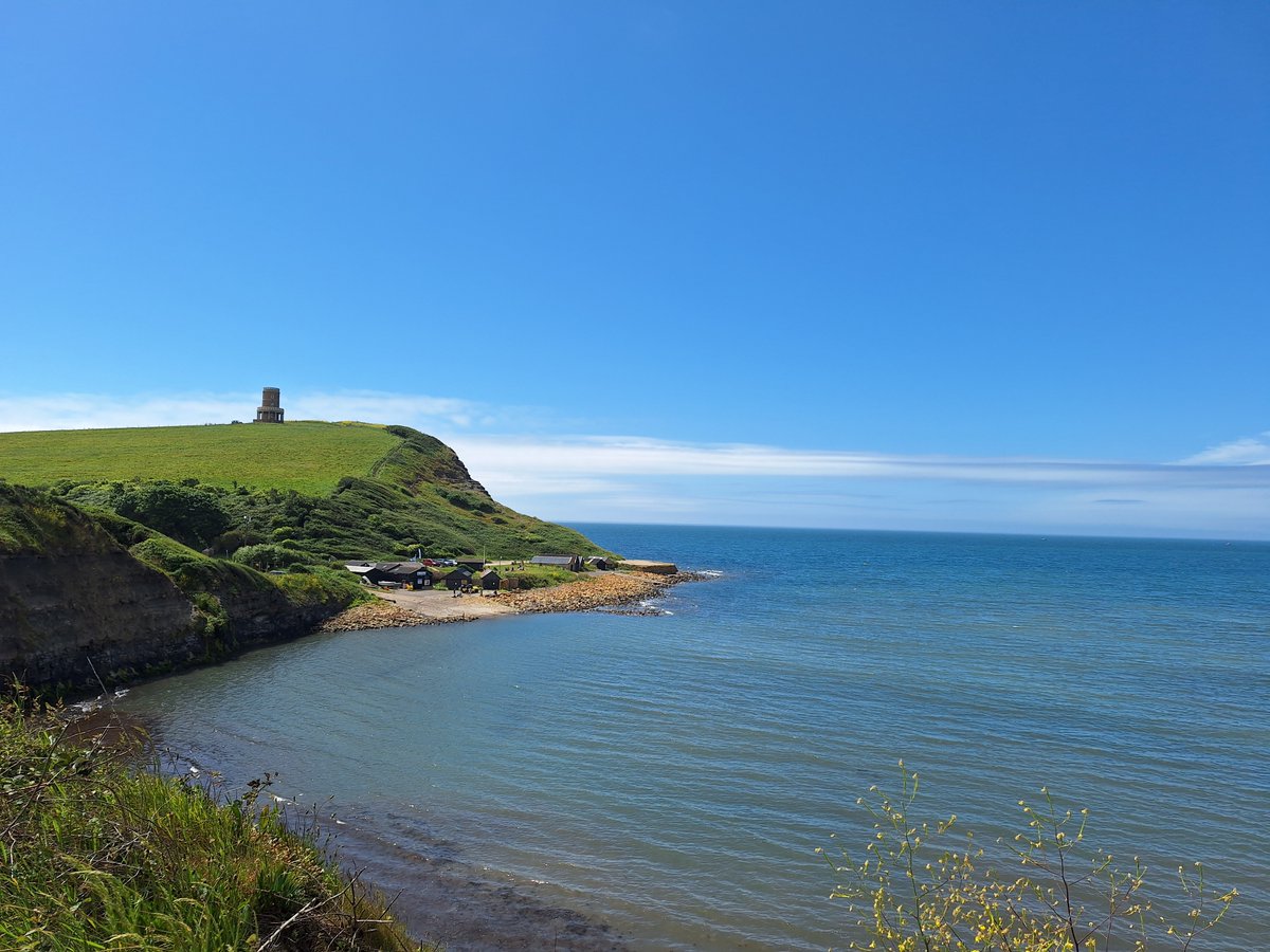 Alex Sharp tweet media