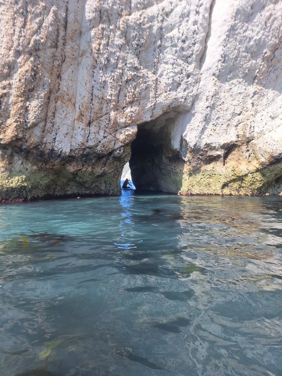 Alex Sharp tweet media