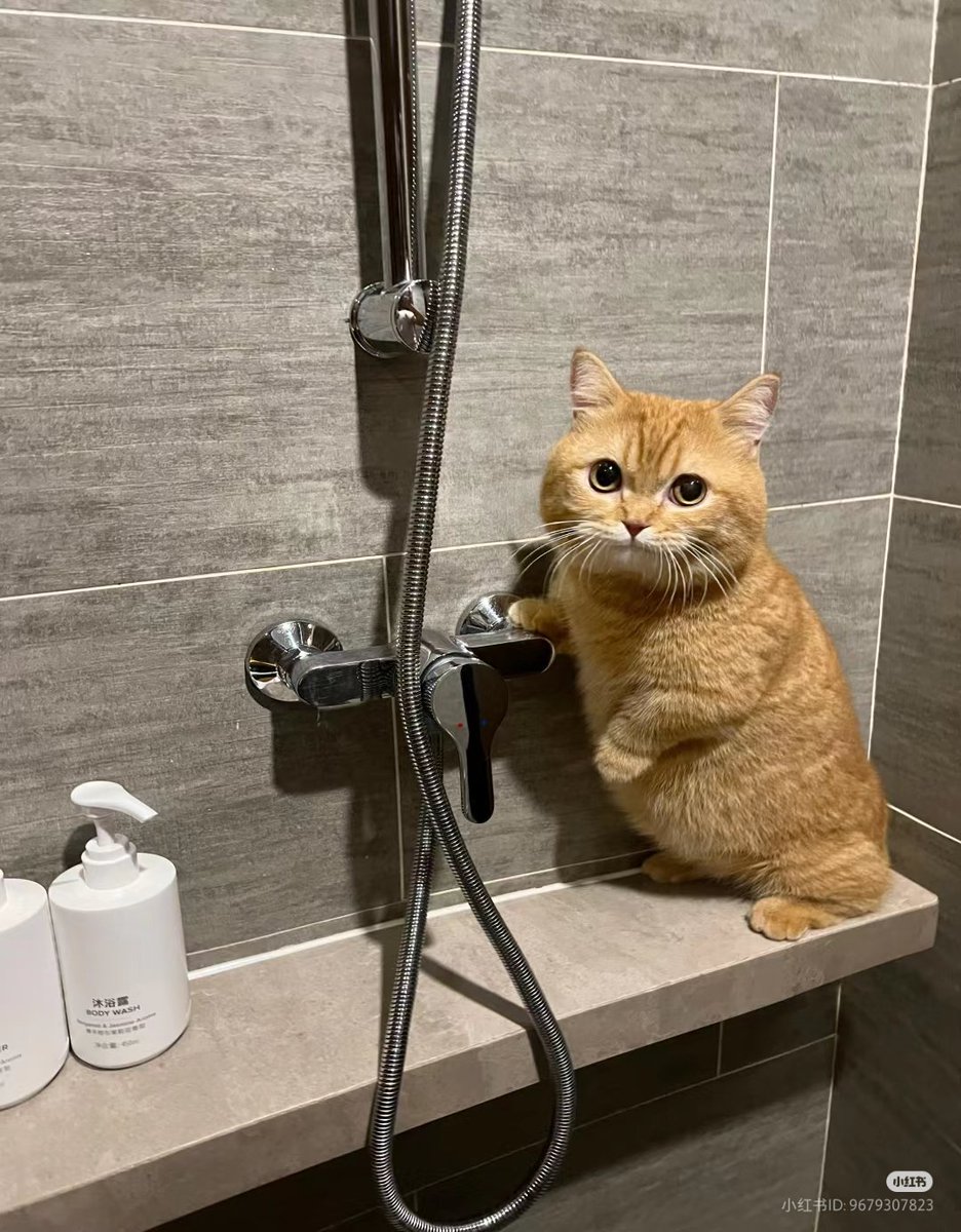 shampoo bottle