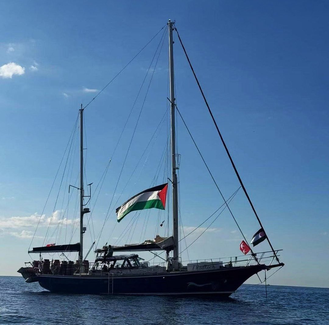 Yolun açık olsun Madleen. 🇵🇸❤️