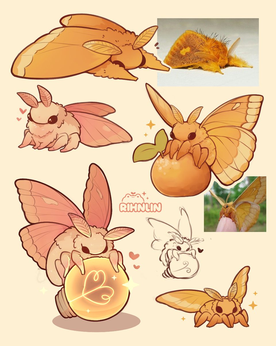 rihnlin's tweet image. moths 🧡
