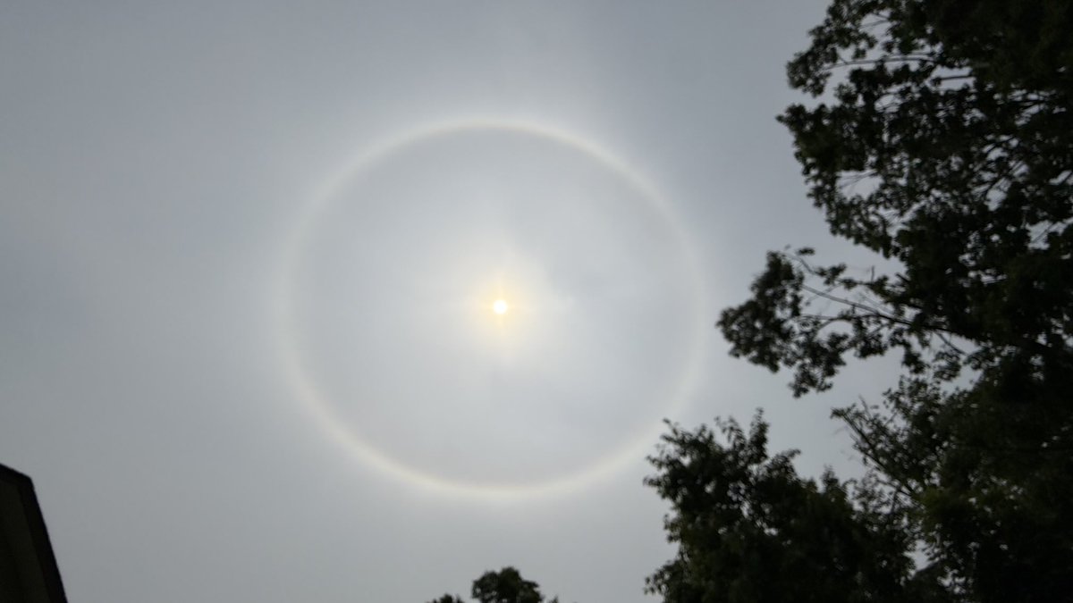 Hey ⁦<a href="/elonmusk/">Elon Musk</a>⁩ &amp; ⁦<a href="/realDonaldTrump/">Donald J. Trump</a>⁩ you two should squash your differences.  

The universe isn’t happy. 

#ringoffire