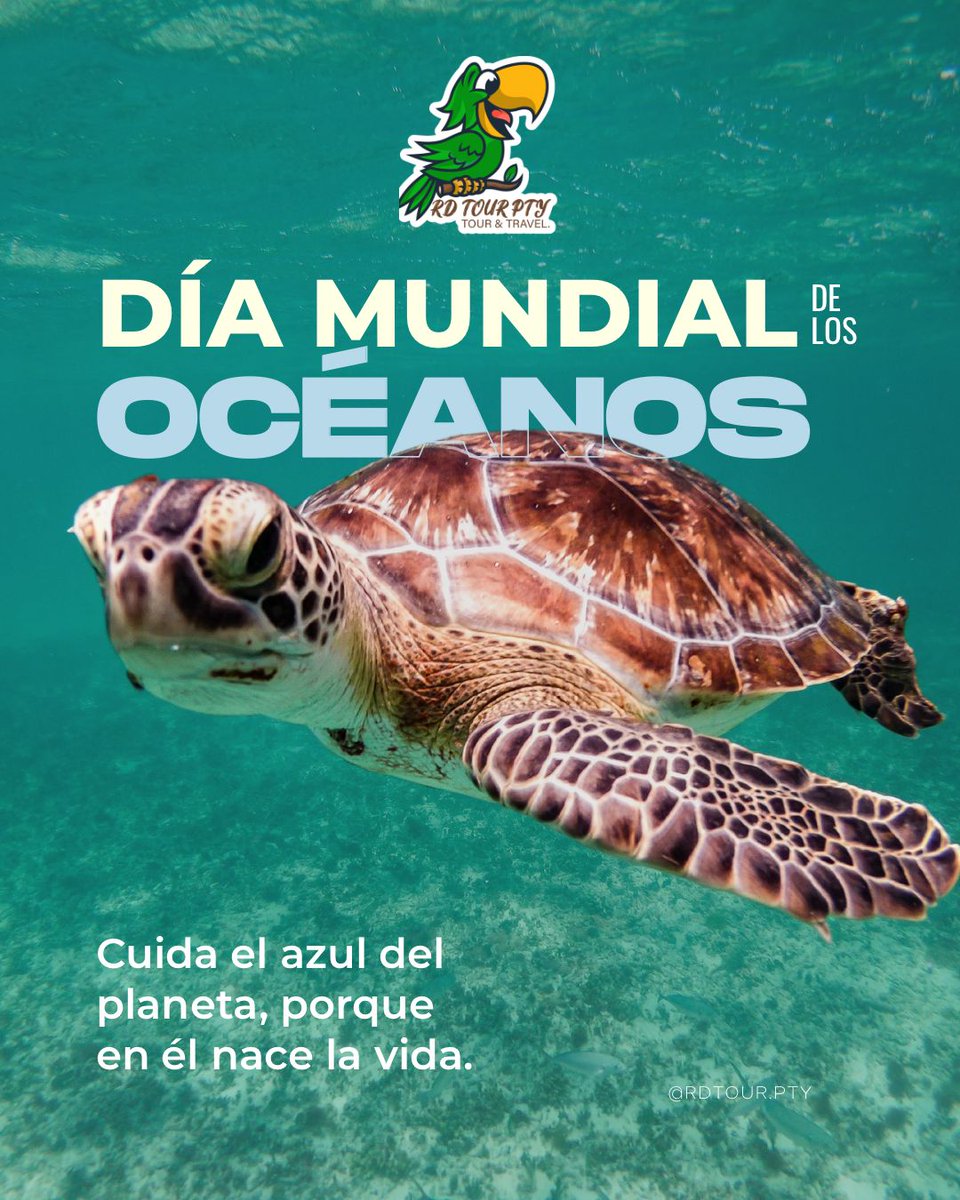 #DíaMundialDeLosOcéanos!  En RD TOUR PTY celebramos y recordamos la importancia de cuidar el hogar de especies increíbles como esta tortuga.
El azul del planeta es la cuna de la vida.¡Comprometámonos a protegerlo! #WorldOceansDay #RDTOURPTY #Océanos #Panamá #ConcienciaAmbiental
