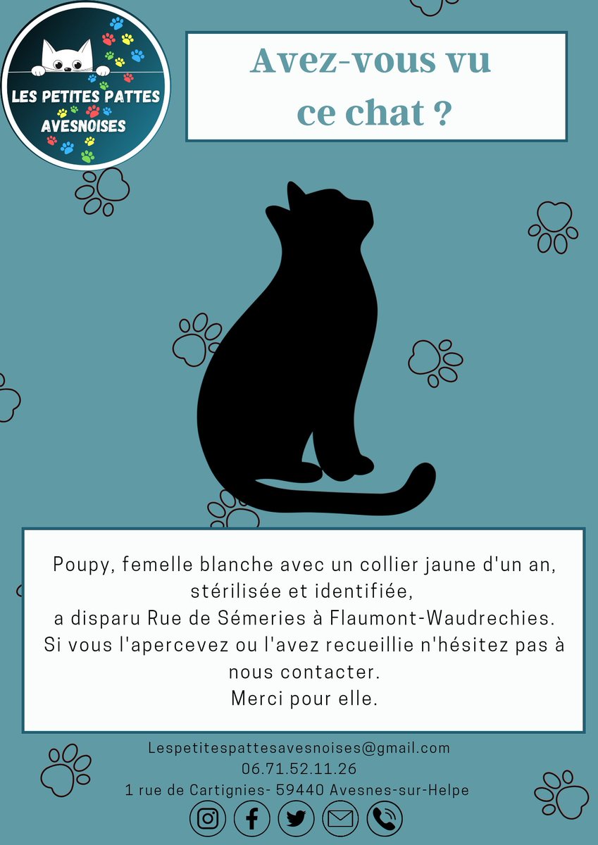 Merci de partager pour Poupy.
#lespetitespattesavesnoises #aulocalaujourdhui #association #avesnessurhelpe #adoption #chat #familledaccueil #benevolat #avisderecherche #chatperdu #disparu