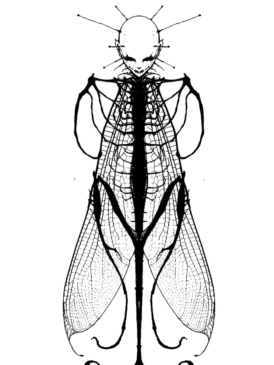 ghaaro (@ghaaro012) on Twitter photo 