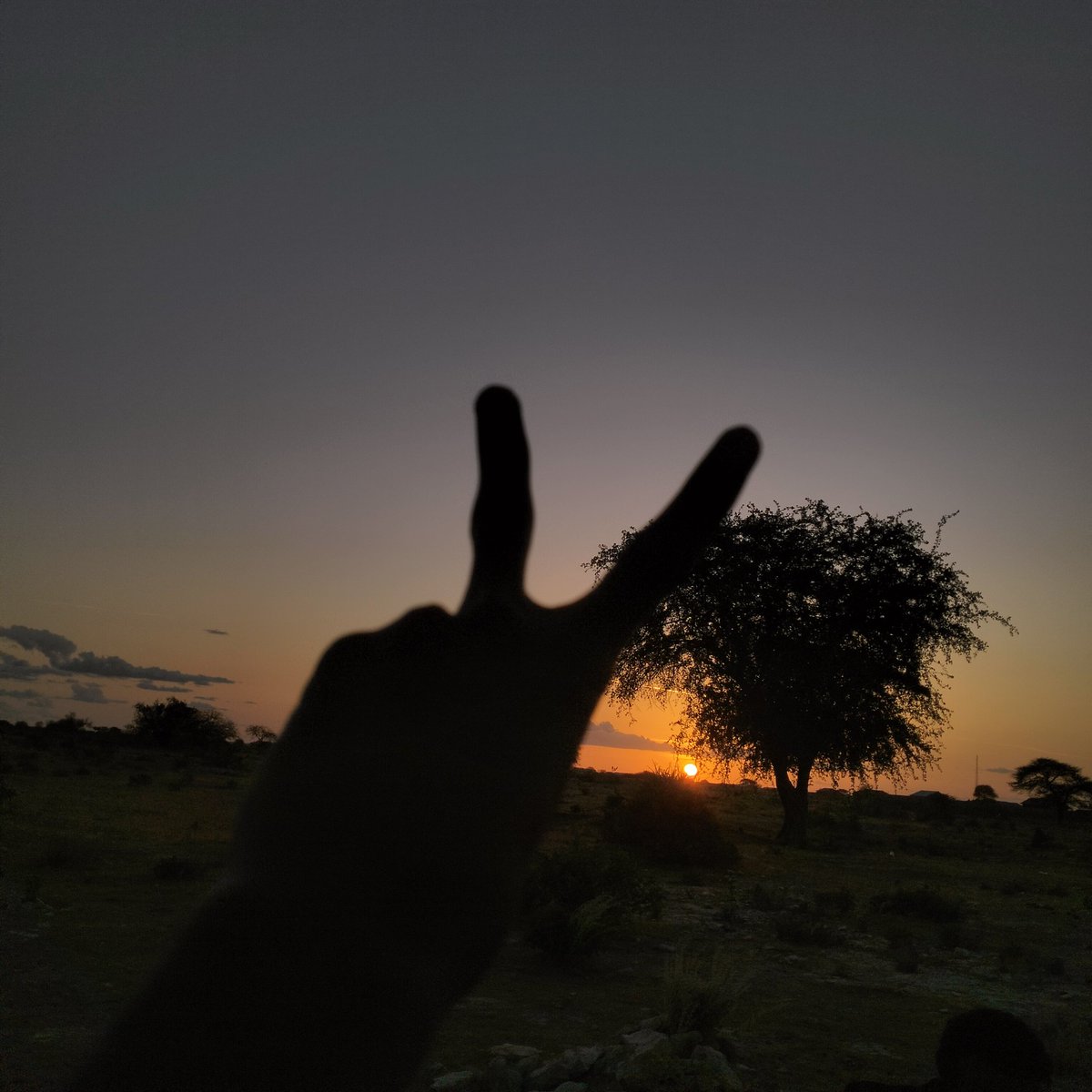 _Abagira's tweet photo. There is nothing more serene than watching Sunset!

📍 Elwak https://t.co/2ZTcRZhGQN