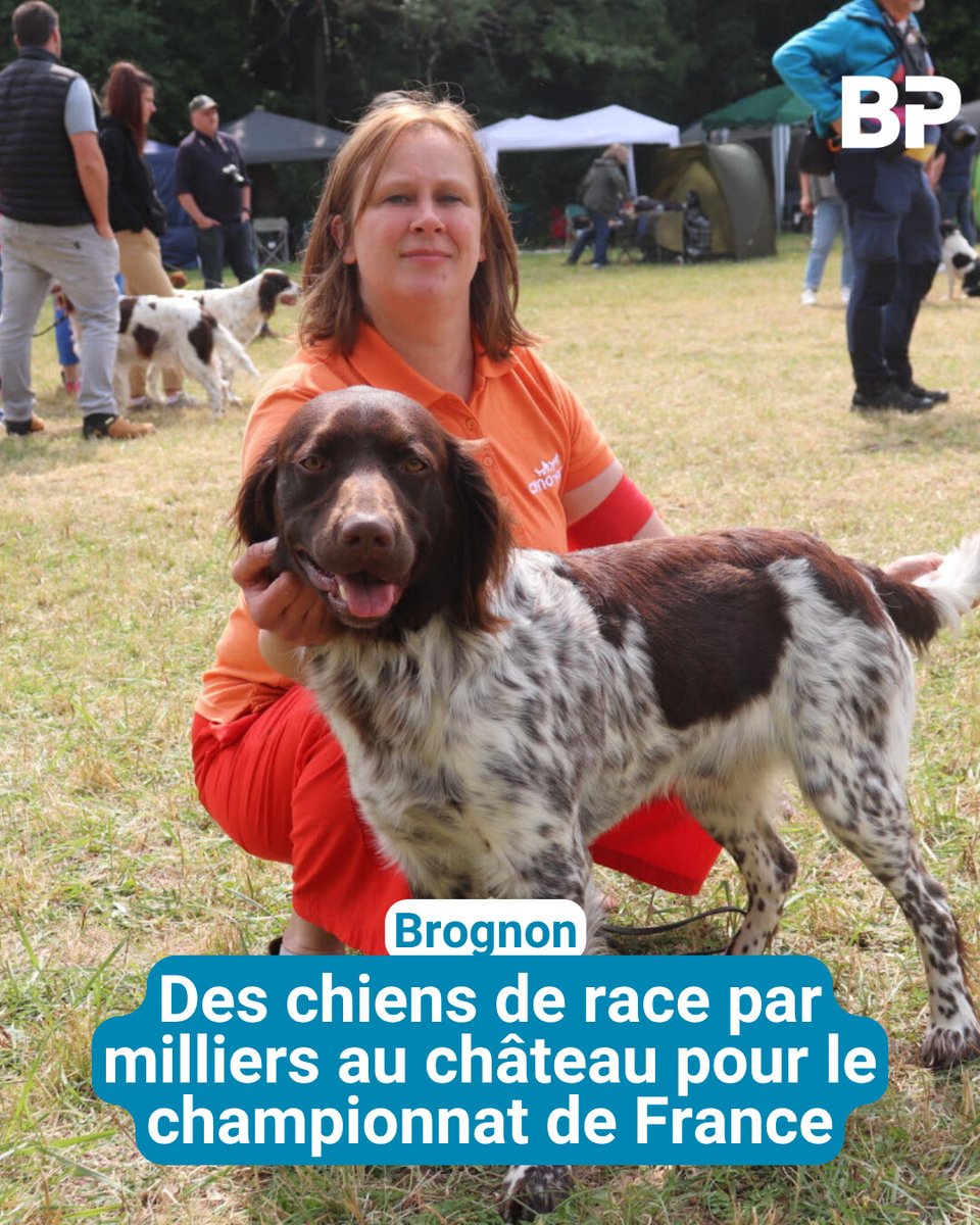 🐩​ Près de 230 races sont représentées, pour un total de plus de 9 000 chiens, venus de toute l’Europe.
l.bienpublic.com/lBa