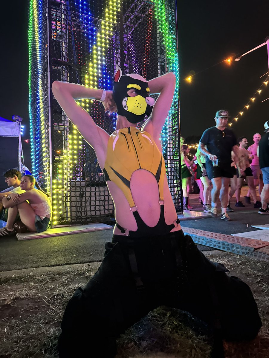 Festival dog
#WorldPrideMusicFestival