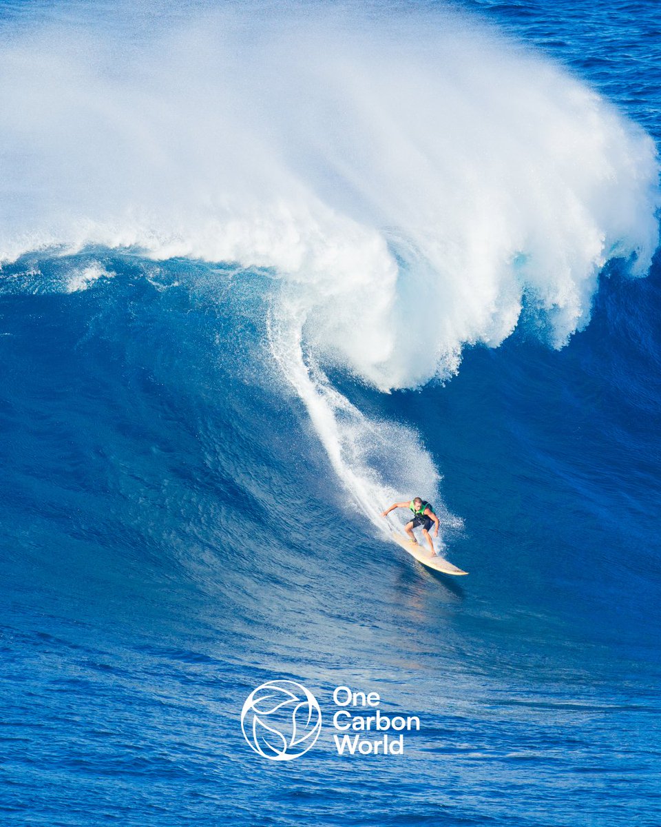 One Carbon World (@onecarbonworld1) on Twitter photo "Every wave matters to a surfer, just as every carbon emission we reduce matters to the ocean."
– Andrew Bowen, <a href="/OneCarbonWorld1/">One Carbon World</a> CEO
We’re proud of what we’ve built with <a href="/wsl/">World Surf League</a> — and even more excited for what’s to come!
#WorldOceansDay #OneCarbonWorld #WorldSurfLeague #NetZero "Every wave matters to a surfer, just as every carbon emission we reduce matters to the ocean."
– Andrew Bowen, <a href="/OneCarbonWorld1/">One Carbon World</a> CEO
We’re proud of what we’ve built with <a href="/wsl/">World Surf League</a> — and even more excited for what’s to come!
#WorldOceansDay #OneCarbonWorld #WorldSurfLeague #NetZero