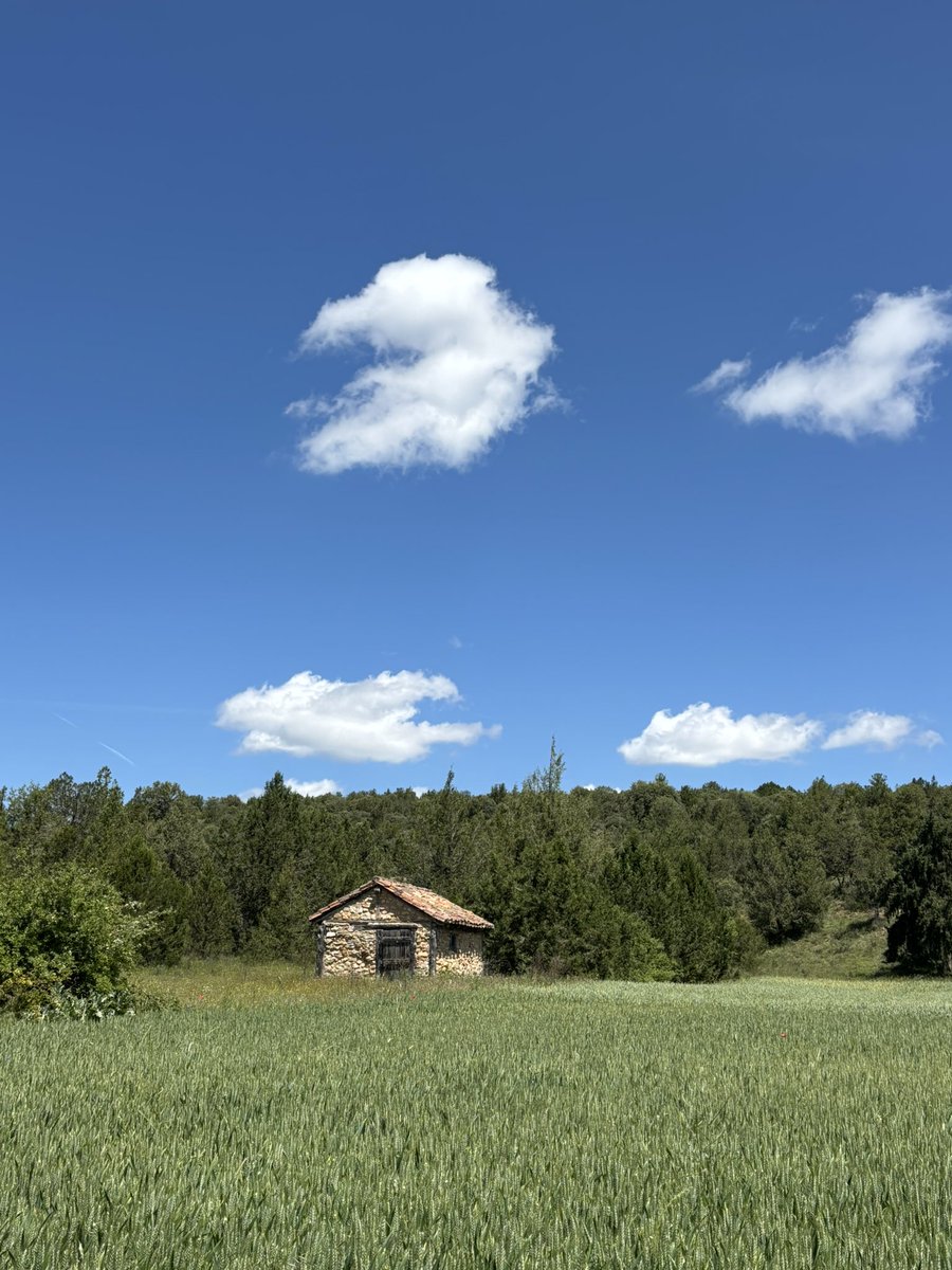 El viejo y restaurado pobrero de Abioncillo (Soria). Aquí, en la histórica tierra de Calatañazor, tierra del adobe, las chimeneas, los entramados y los encestados, hasta las construcciones más humildes y miserables tienen un especial encanto popular.