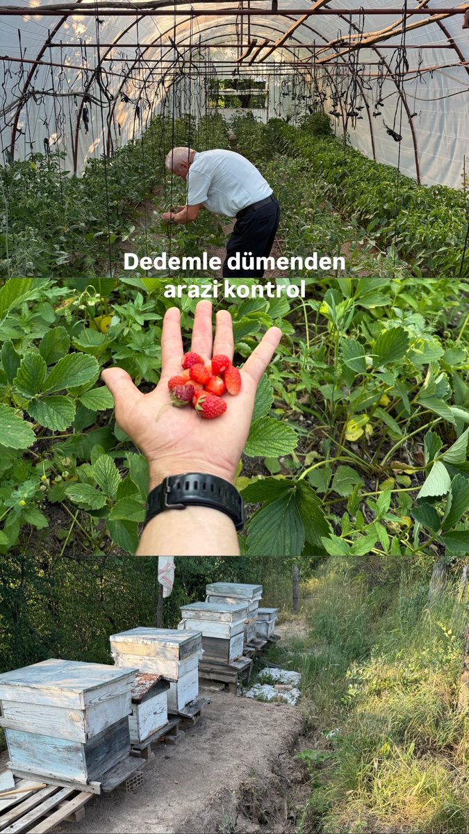 06emre78's tweet photo. Köy işleri https://t.co/tfm4W7GDnI