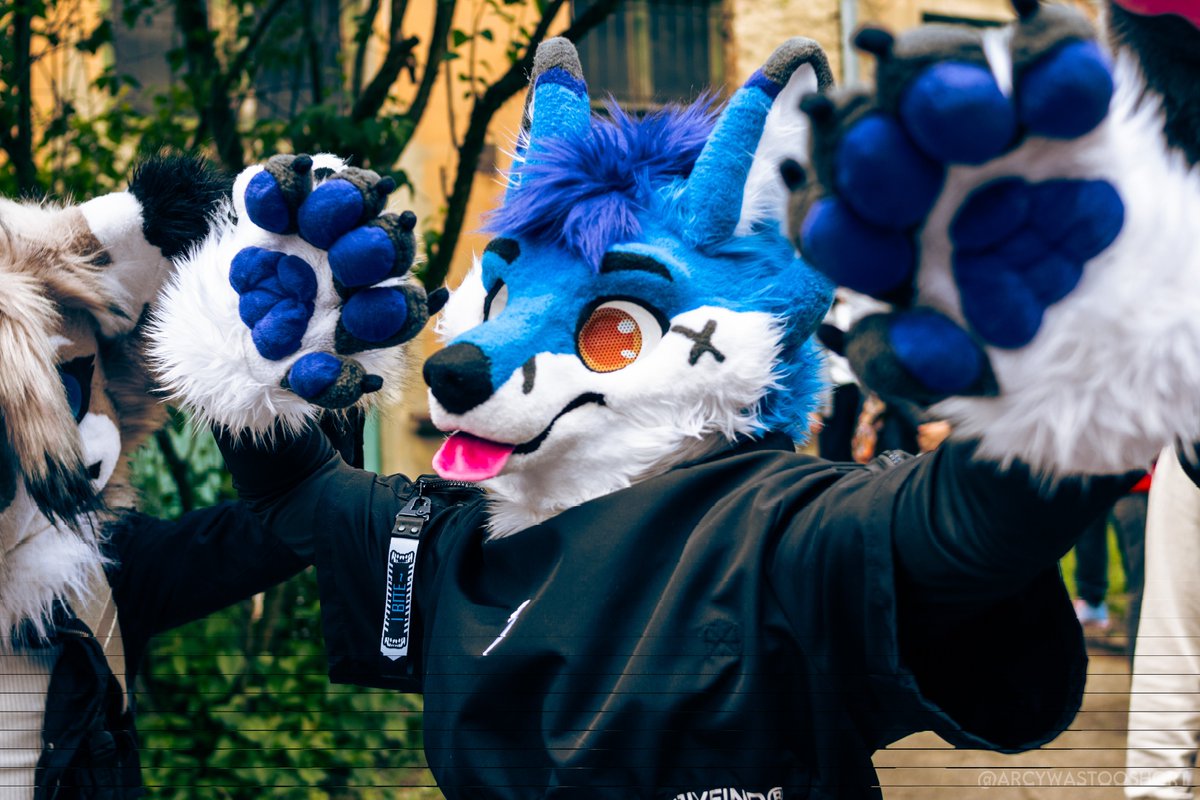 🌟Ami Bluefox 🦊🌟 tweet media