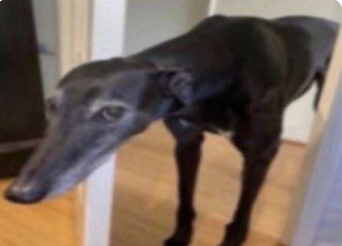 idkgrohl's tweet image. la cantidad de finales que patee este año por favor me da verguenza