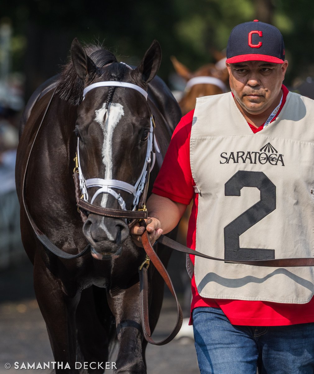 Samantha Decker (she/her) π· (@sdeckerphoto) on Twitter photo From yesterday: A.P. Kid took an off the turf Pennine Ridge Stakes with <a href="/ljlmvel/">John Velazquez</a> onboard for trainer <a href="/PletcherRacing/">Todd Pletcher Racing Stables</a> and owner <a href="/DonegalRacing/">Donegal Racing</a>
Shot for the <a href="/saratogaspecial/">The Saratoga Special</a> From yesterday: A.P. Kid took an off the turf Pennine Ridge Stakes with <a href="/ljlmvel/">John Velazquez</a> onboard for trainer <a href="/PletcherRacing/">Todd Pletcher Racing Stables</a> and owner <a href="/DonegalRacing/">Donegal Racing</a>
Shot for the <a href="/saratogaspecial/">The Saratoga Special</a>