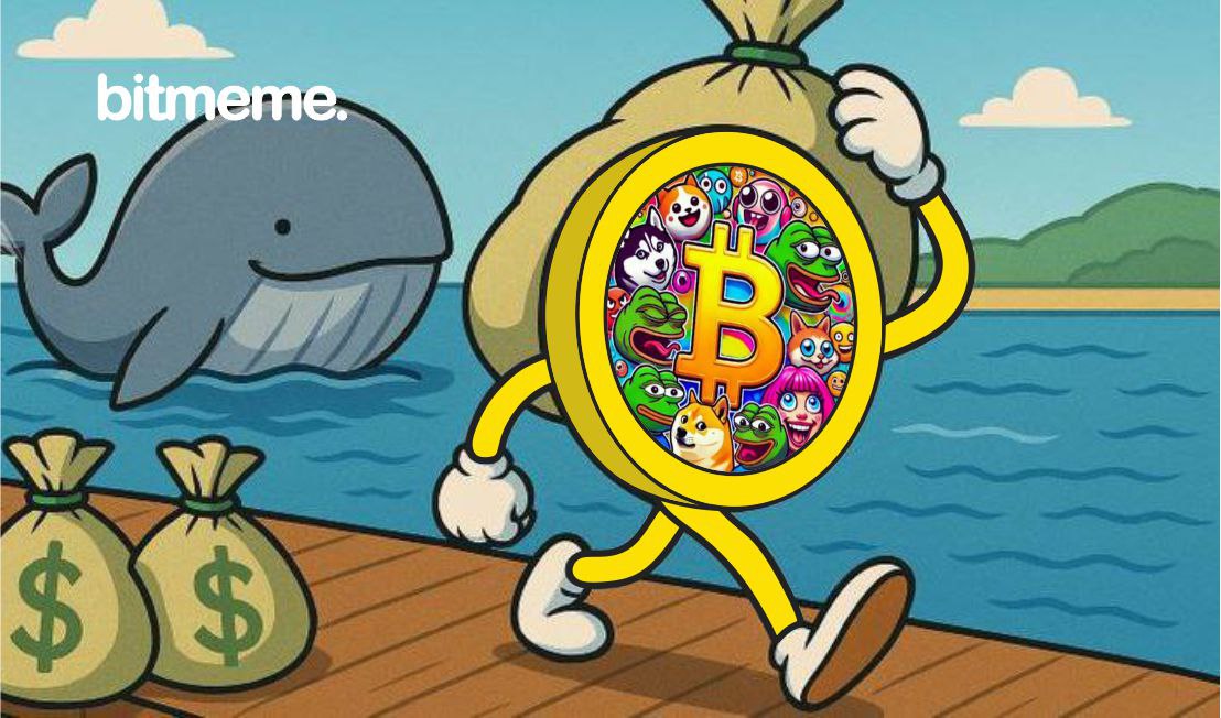 BitMeme_BTM_'s tweet photo. When the whales move... they move for $BTM. ๐ณ๐ฐ
Bitmeme isnโt just trending โ itโs earning, growing, and catching big eyes.
Smart money knows where the memes are. ๐ช๏ธ
#BTM #Bitmeme #WhaleAlert #MemeCoin #Crypto https://t.co/hGfCEvKcMT